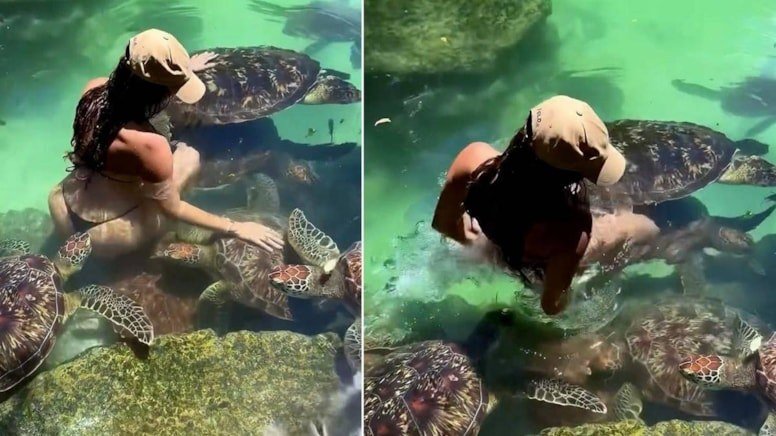 Cynthia Benitez Zanzibar’da deniz kaplumbağasının ısırığıyla panik yaşadı