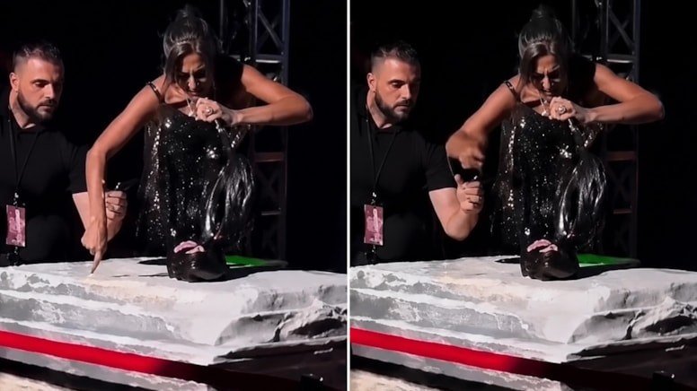 Yıldız Tilbe sahnede kendisine destek olmak isteyen güvenliği itti