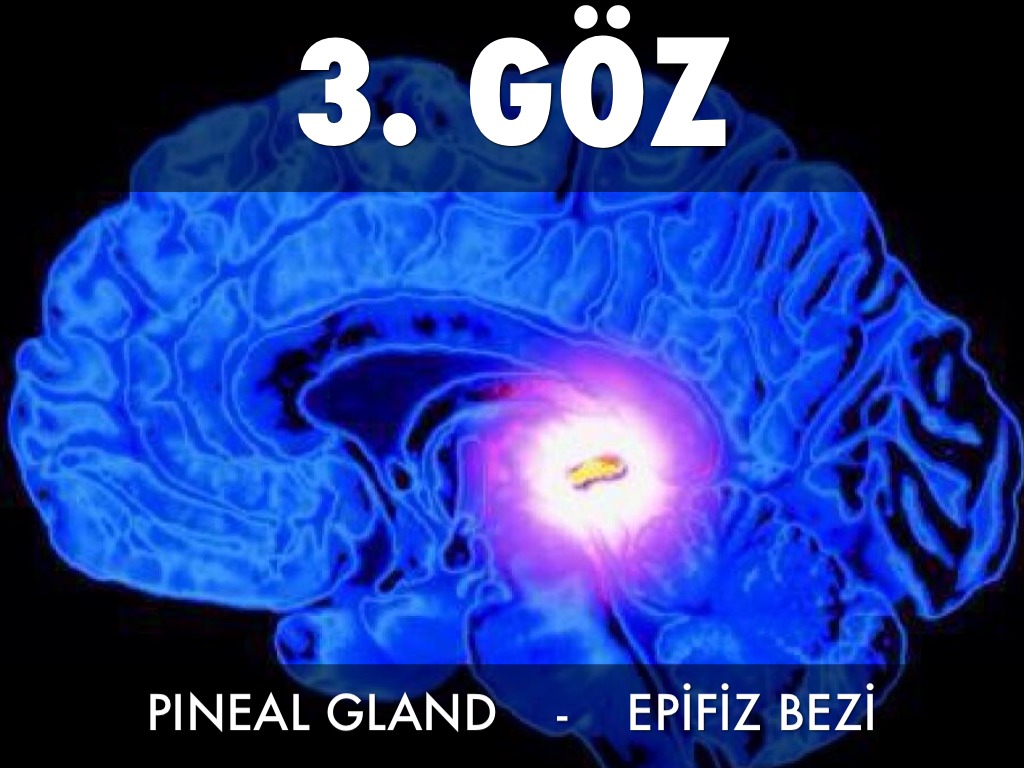 3. GÖZ - EPİFİZ - ZİHİN GÖZÜ