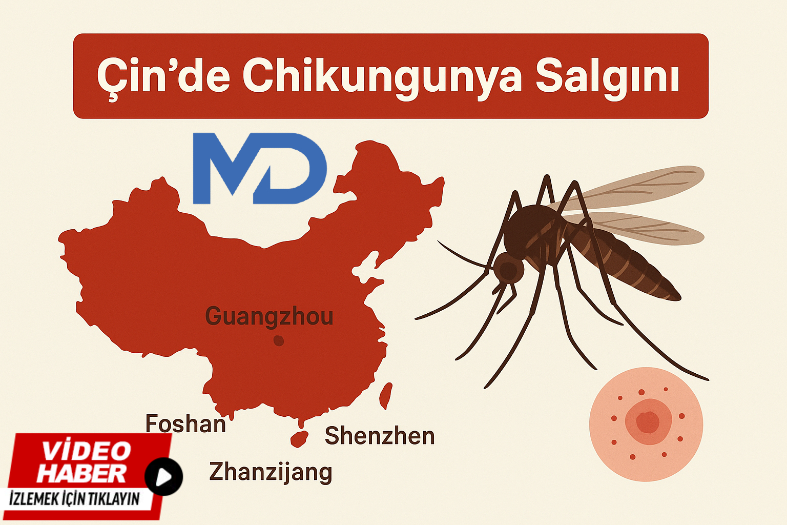 Chikungunya Virüsü Uyarısı: Belirtiler, Riskler ve Korunma Yolları