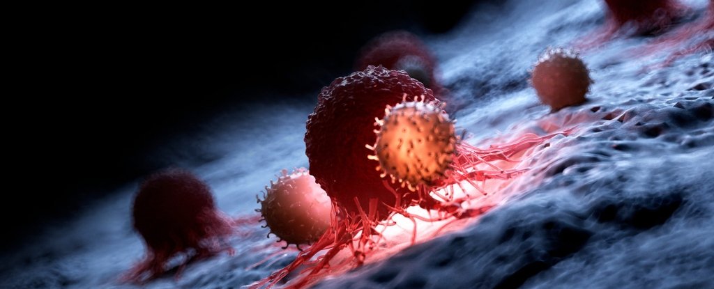 Üç Kanser Hastasını CRISPR ile bağışıklık sistemlerini düzenlemeyi başardılar.