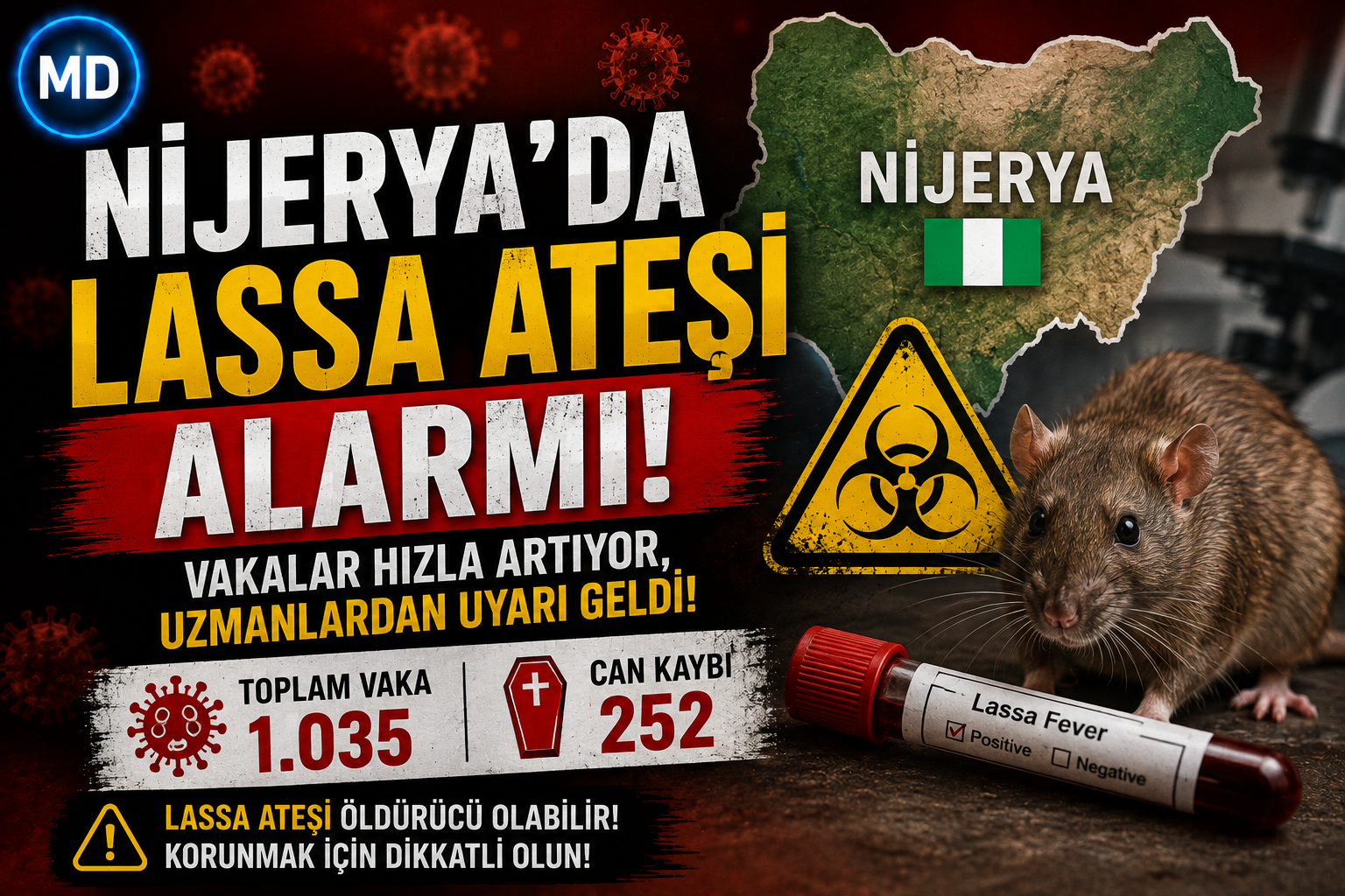 Nijerya’da Lassa ateşi alarmı: 1.035 vaka, 252 can kaybı