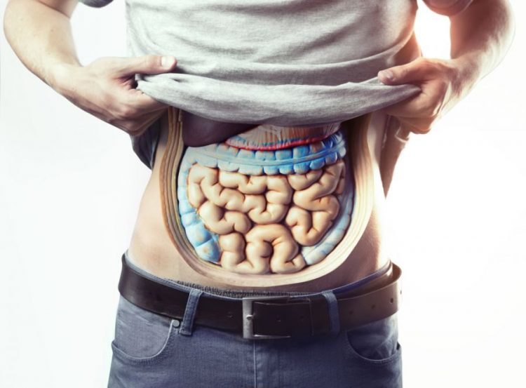 İnulin nedir? Faydaları ve zararları nedir? Zayıflatır mı?