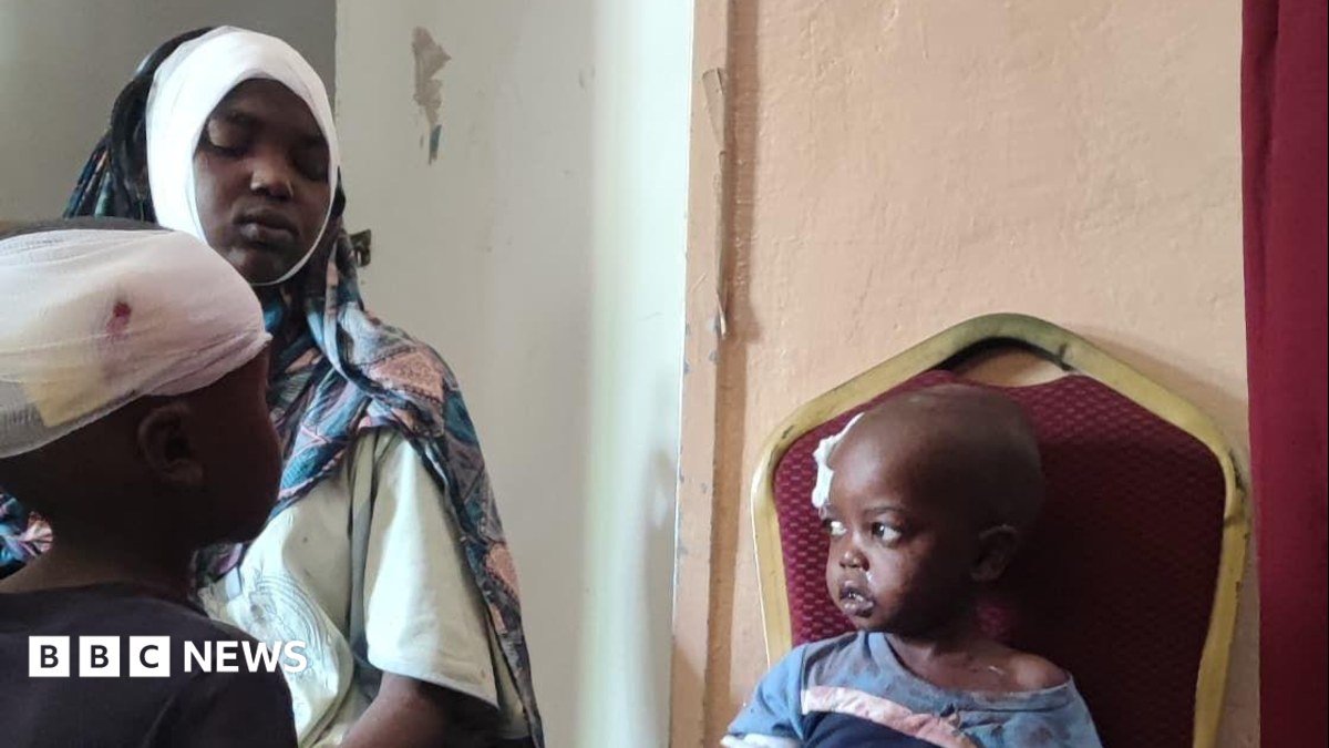 BBC Investigation Details Systematic Attacks on Healthcare Facilities in el-Fasher, Sudan
