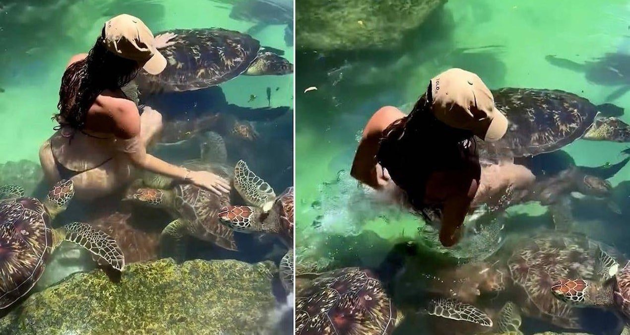 Cynthia Benitez Zanzibar’da deniz kaplumbağasının ısırığıyla panik yaşadı