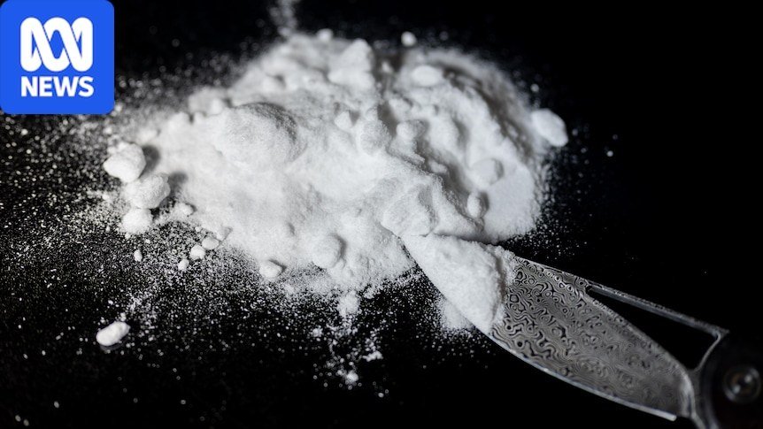 Fiji Police Investigate Theft of 52 Kilograms of Cocaine From High Court Evidence Room