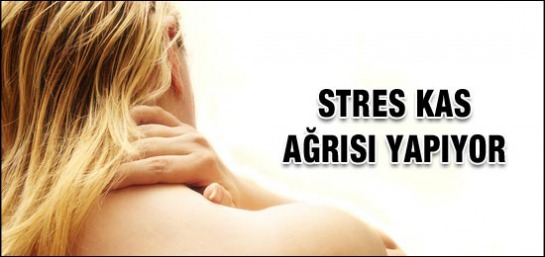 Kas Ağrıları Neden Olur, Kas Ağları Nasıl Geçer? Kas Ağrıları Neden Olur, Kas Ağları Nasıl Geçer? 