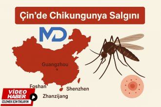 Chikungunya Virüsü Uyarısı: Belirtiler, Riskler ve Korunma Yolları