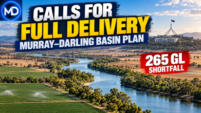 South Australian Politicians Call for Full Delivery of Murray-Darling Basin Plan