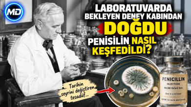 Laboratuvarda bekleyen deney kabından doğdu: Penisilin nasıl keşfedildi?