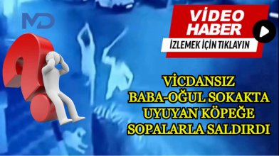 Vicdansız baba-oğul sokakta uyuyan köpeğe sopalarla saldırdı!