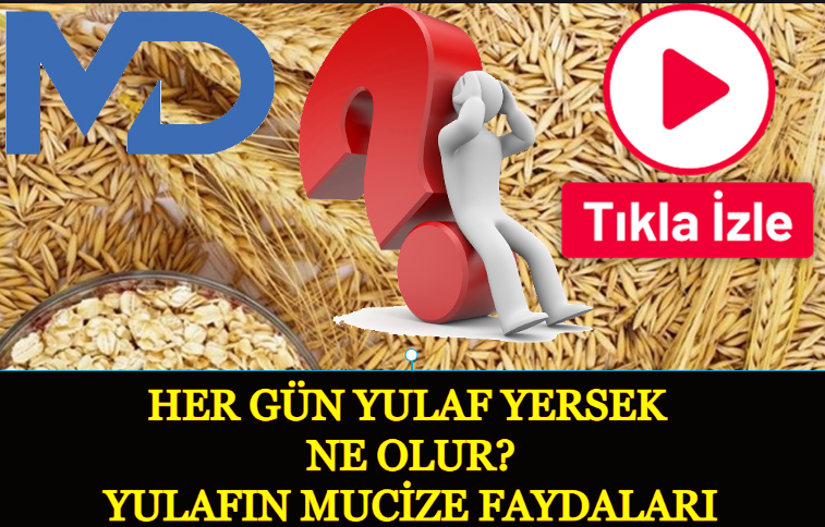 Her Gün Yulaf Yersek Ne Olur? Yulafın Mucize Faydaları