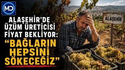 Alaşehir'de üzüm üreticisi fiyat bekliyor: 