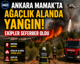 Ankara Mamak’ta ağaçlık alanda yangın: Ekipler seferber oldu