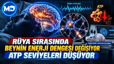 Rüya sırasında beynin enerji dengesi değişiyor: ATP seviyeleri düşüyor