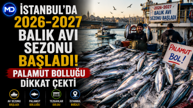 İstanbul’da 2026-2027 balık avı sezonu başladı: Palamut bolluğu dikkat çekti
