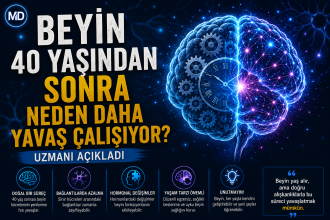 Beyin 40 yaşından sonra neden daha yavaş çalışıyor? Uzmanı açıkladı
