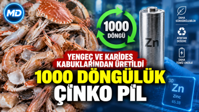 Yengeç ve Karides Kabuklarından Üretildi: 1000 Döngülük Çinko Pil