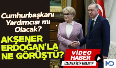 Akşener, Erdoğan'la ne görüştü?