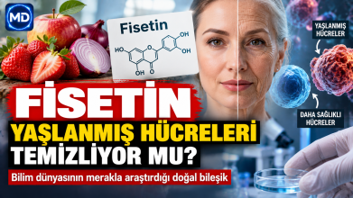 Fisetin nedir? Bilim dünyasının araştırdığı “yaşlanmış hücreleri temizleme” potansiyeli