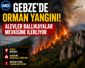 Gebze'de orman yangını: Alevler Ballıkayalar mevkisine ilerliyor