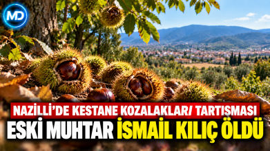 Nazilli’de kestane kozalakları tartışması: Eski muhtar İsmail Kılıç öldü