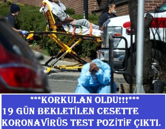 Korona’da Herkesi Korkutan Gelişme: ABD’de test amacıyla 19 gün bekletilen cesette koronavirüs çıktı
