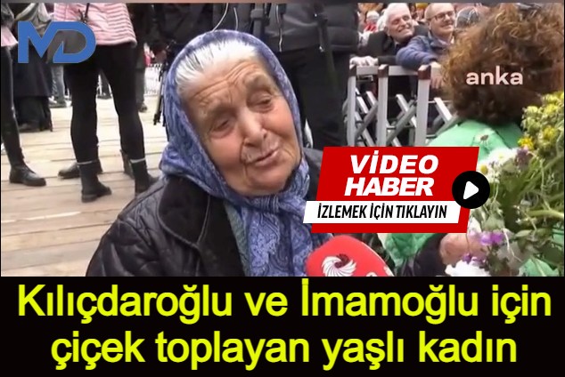 Kılıçdaroğlu ve İmamoğlu için çiçek toplayan yaşlı kadın