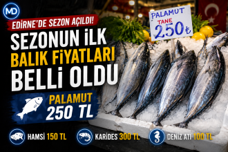 Edirne’de sezonun ilk balık fiyatları belli oldu: Palamut 250 lira