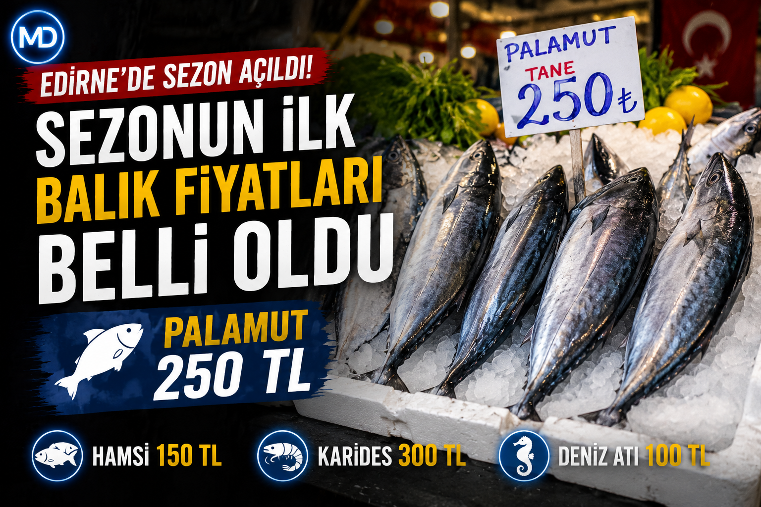 Edirne’de sezonun ilk balık fiyatları belli oldu: Palamut 250 lira