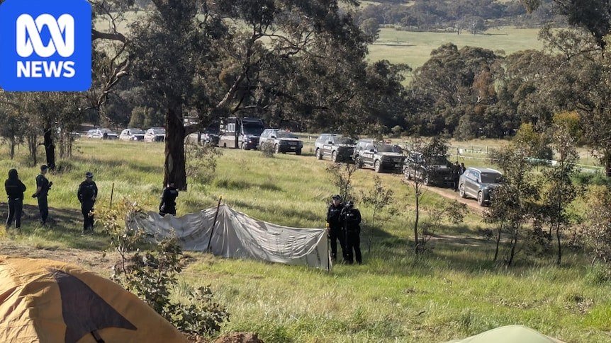 Protester Arrested as Clashes Resume Over Western Highway Tree Removal