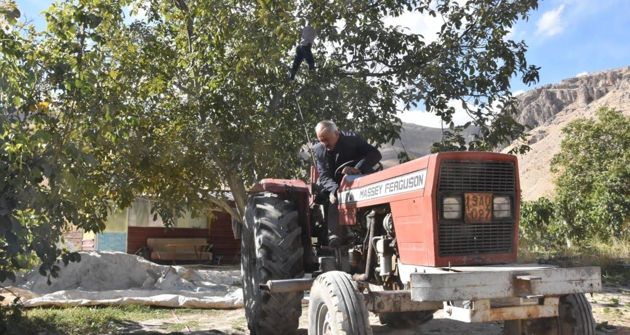 Tekirdağ’da ceviz hasadı başladı: Çorlu Seymen’de üreticiler tarlada