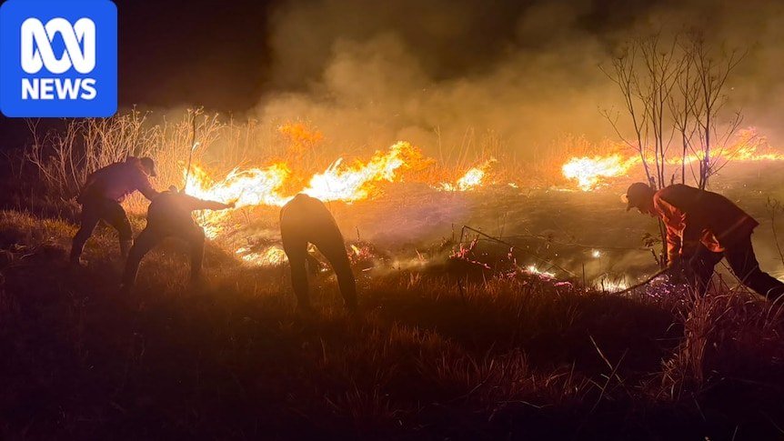WMO Warns Intensifying El Niño Could Become Strongest in Four Decades